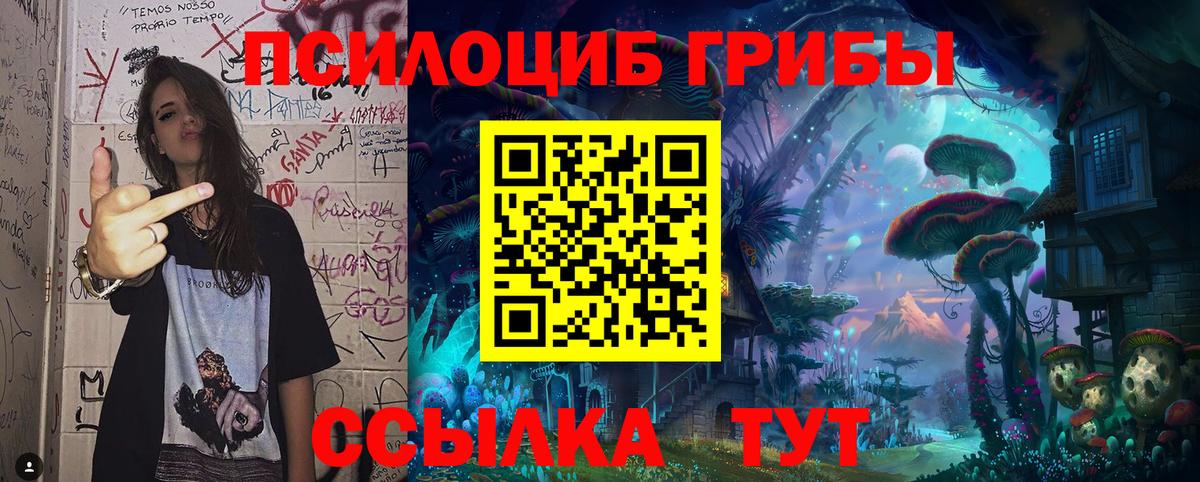 Псилоцибиновые грибы ЛСД Муром